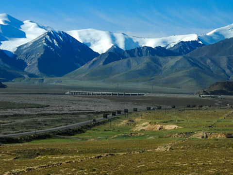 1655804071188193.jpg 17.jpg